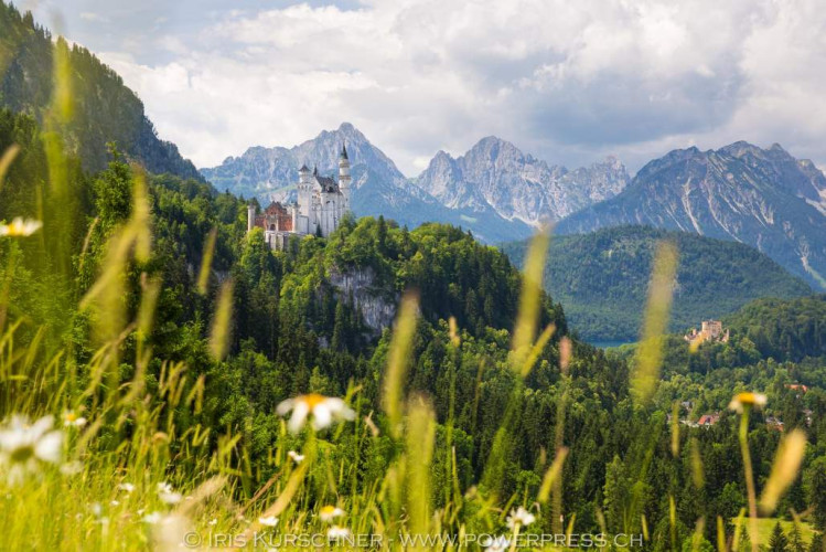 Neuschwanstein