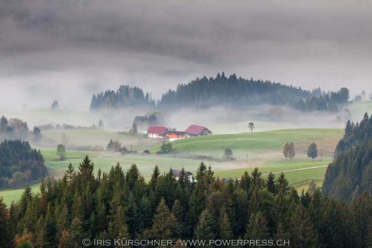 Lammertal im Tennengebirge, Höfe bei Abtenau